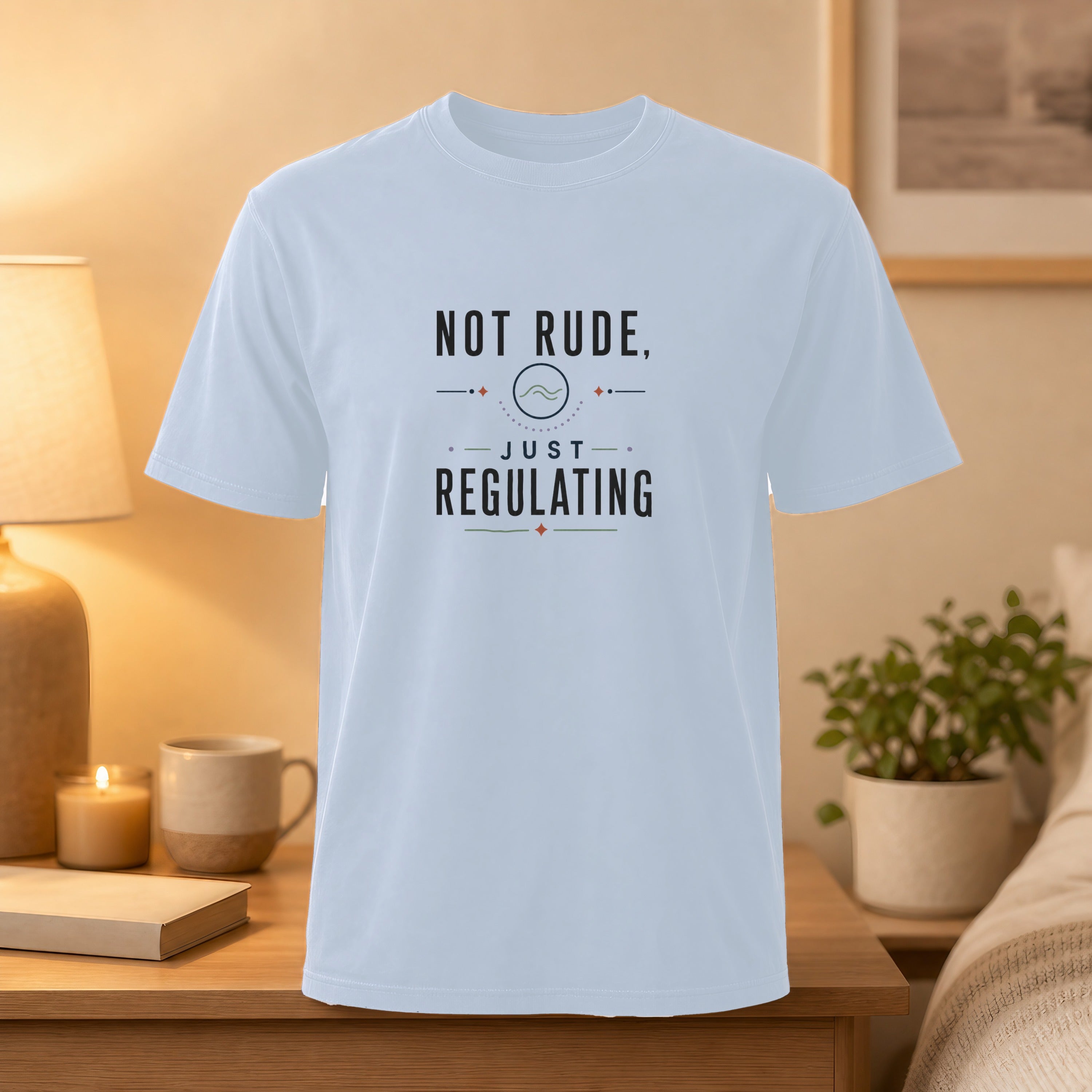 Light blue t-shirt with black text "Not Rude, Just Regulating."